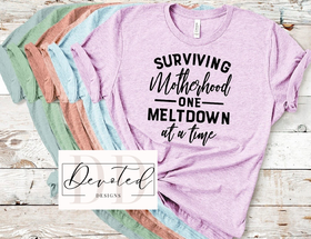 #00B Surviving Motherhood One Meltdown At A Time