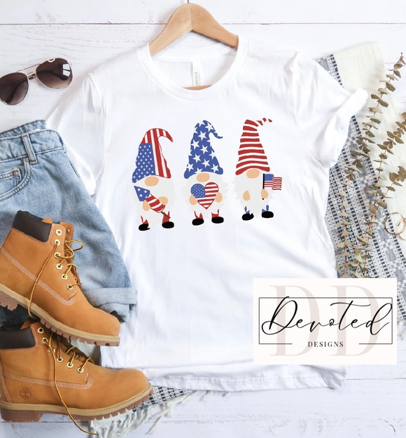 #0541 Patriotic Gnomes