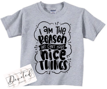 K0232 I Am The Reason We Can’t Have Nice Things