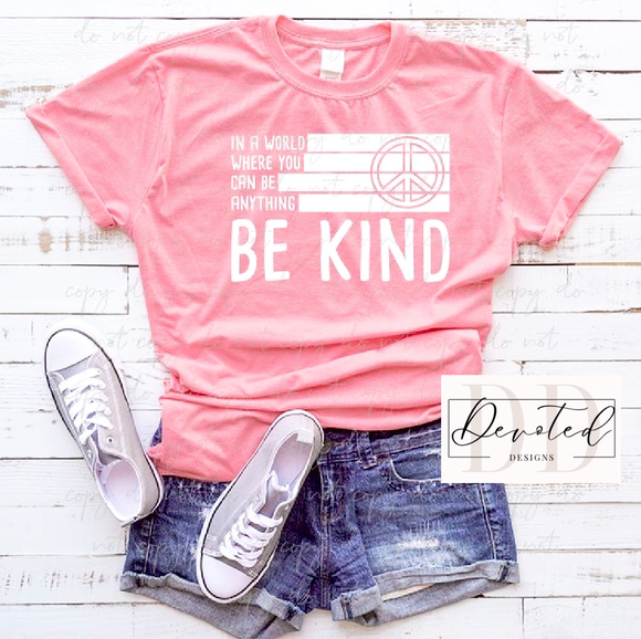 #0647 In A World Where You Can Be Anything Be Kind