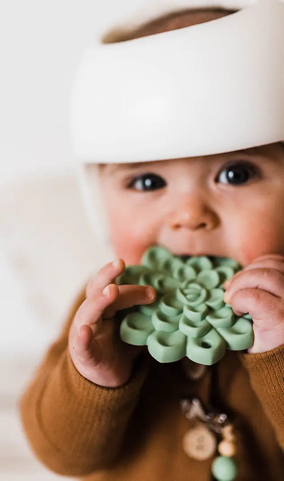 Succulent Teether Set