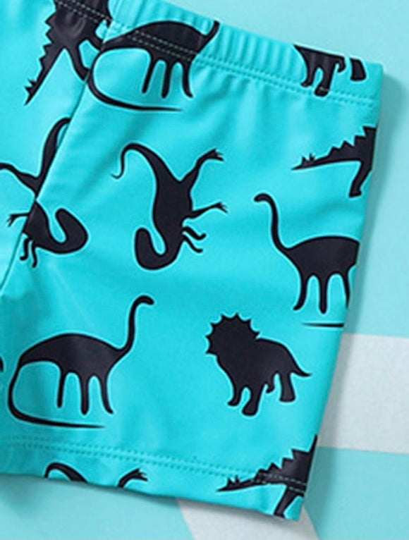 Like a Dino Swim Set