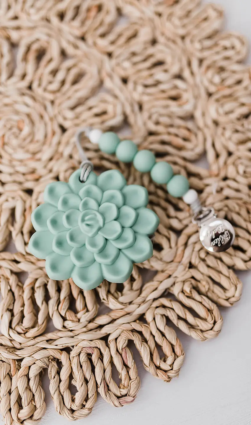 Buy aqua Succulent Teether Set
