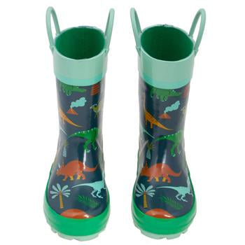 Dinosaur Rain Sets