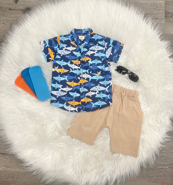 Mr Shark Set