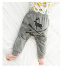 Wild Direction Pants-2