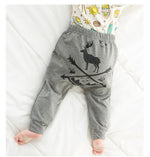 Wild Direction Pants